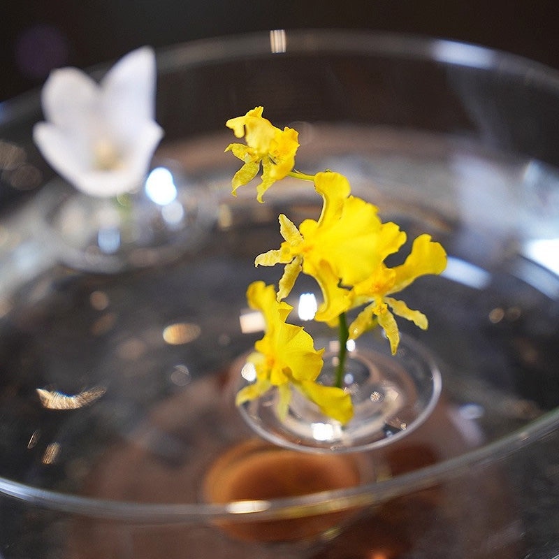 Support Créatif pour Composition Florale Flottante – Élégance Aérienne et Décor Aquatique
