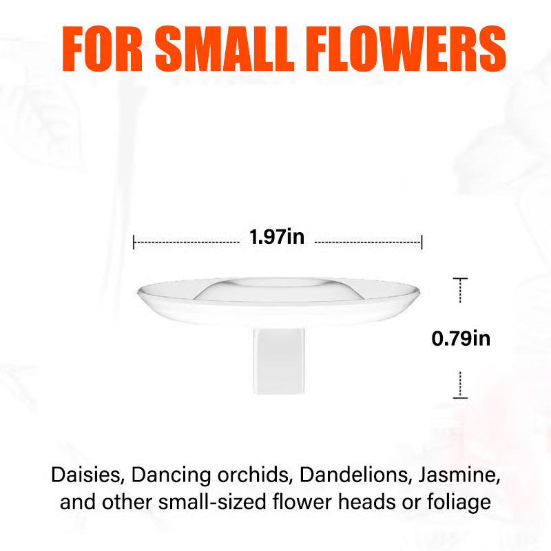 Support Créatif pour Composition Florale Flottante – Élégance Aérienne et Décor Aquatique