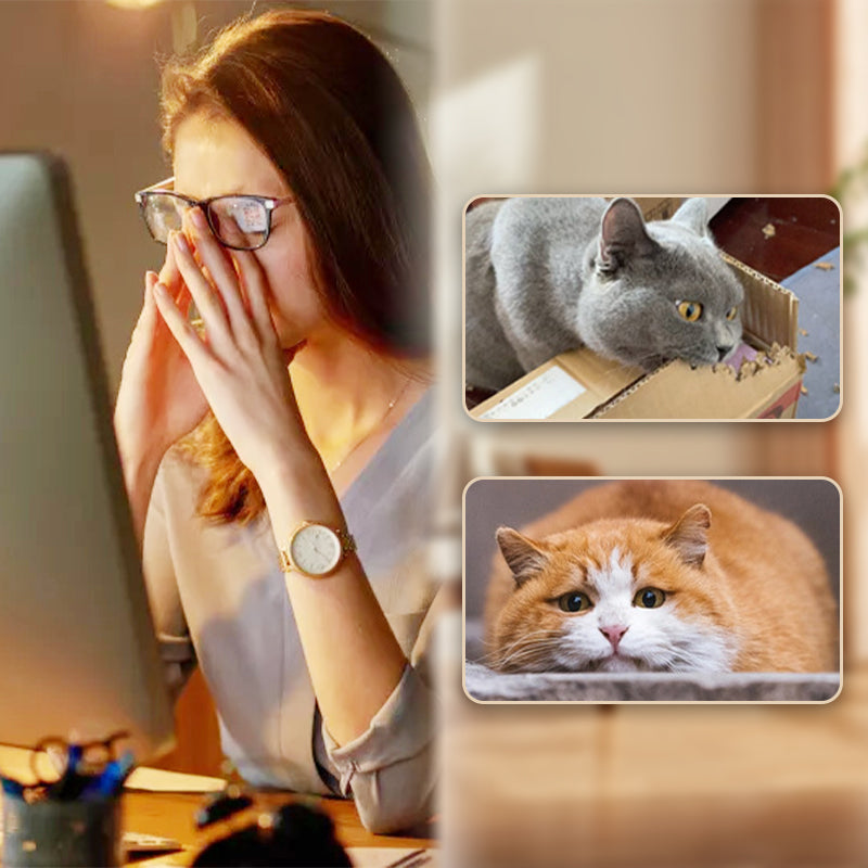 Boule rebondissante interactive avec plume pour chat — le jouet félin ultime, édition 2025 en promotion