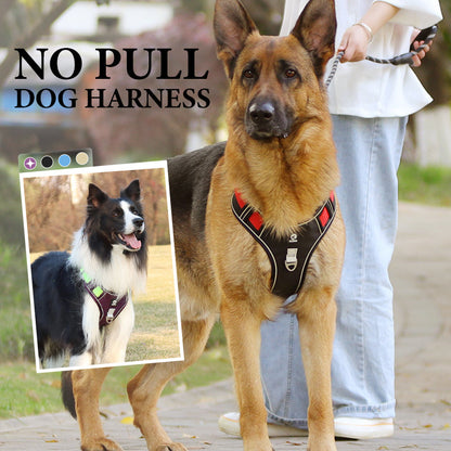 📢📢54 % DE RÉDUCTION !! ⏰Harnais anti-traction pour chien avec laisse et collier à LED