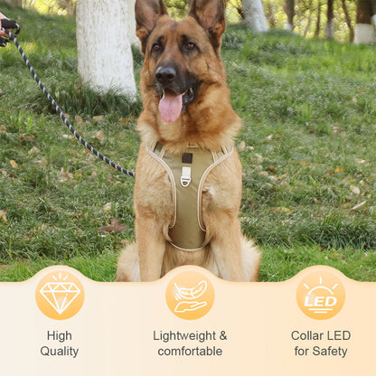 📢📢54 % DE RÉDUCTION !! ⏰Harnais anti-traction pour chien avec laisse et collier à LED