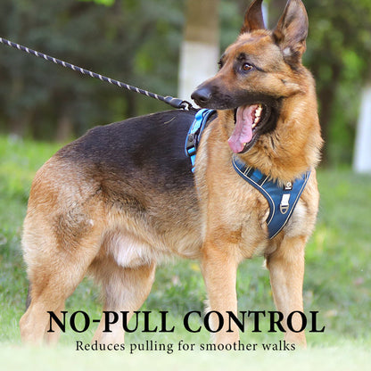 📢📢54 % DE RÉDUCTION !! ⏰Harnais anti-traction pour chien avec laisse et collier à LED