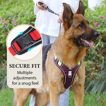 📢📢54 % DE RÉDUCTION !! ⏰Harnais anti-traction pour chien avec laisse et collier à LED