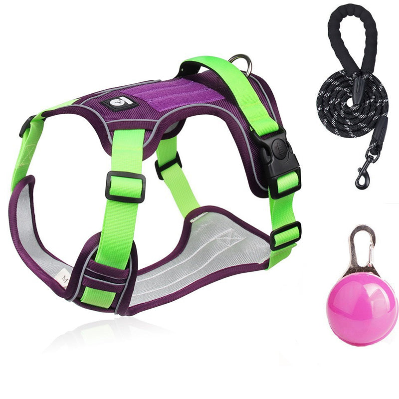 📢📢54 % DE RÉDUCTION !! ⏰Harnais anti-traction pour chien avec laisse et collier à LED