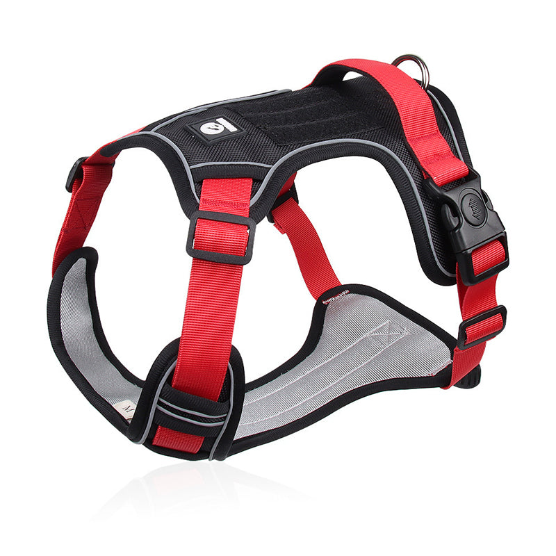 📢📢54 % DE RÉDUCTION !! ⏰Harnais anti-traction pour chien avec laisse et collier à LED