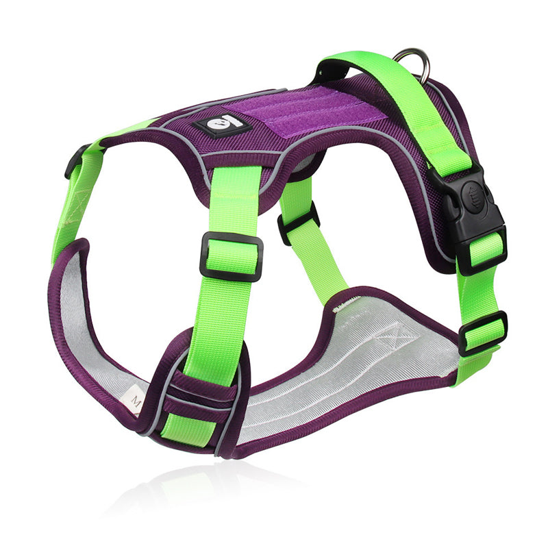 📢📢54 % DE RÉDUCTION !! ⏰Harnais anti-traction pour chien avec laisse et collier à LED
