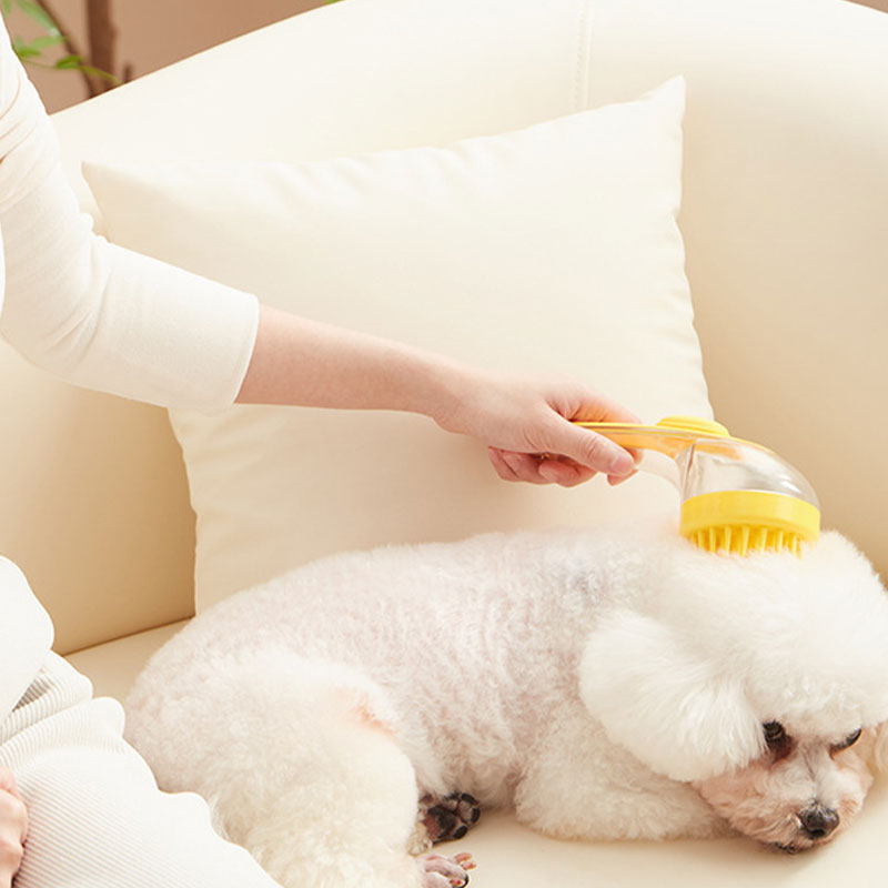 Brosse de bain pour animaux de compagnie avec un long manche et distributeur de shampoing – 50 % de réduction